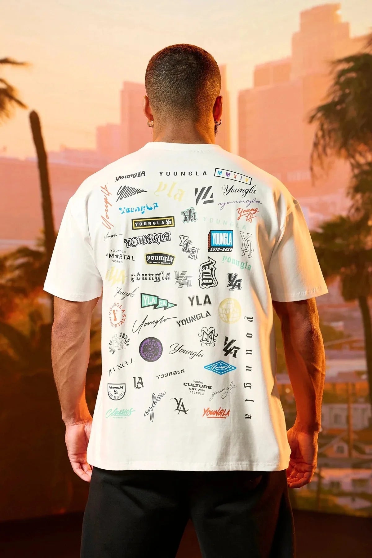 Summer Full Back Printed Short Sleeve Men Loose 240g Cotton T - shirt Cotton Round Neck Casual Fitness Sports Short Sleeve Men - Lucien Store