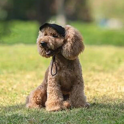 כובע קיץ לכלבים - Doggo