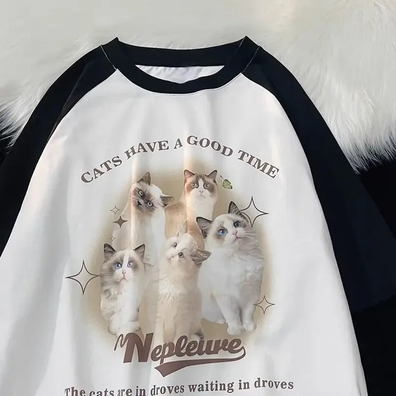 43888254419132|43888254451900|43888254484668|43888254517436|43888254550204
