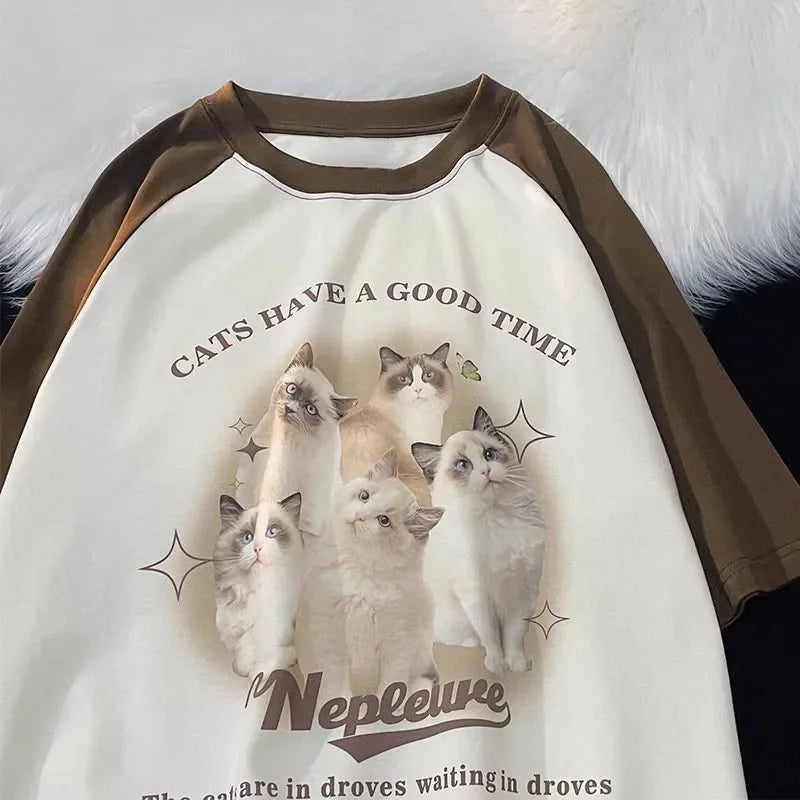 43888254582972|43888254615740|43888254648508|43888254681276|43888254714044